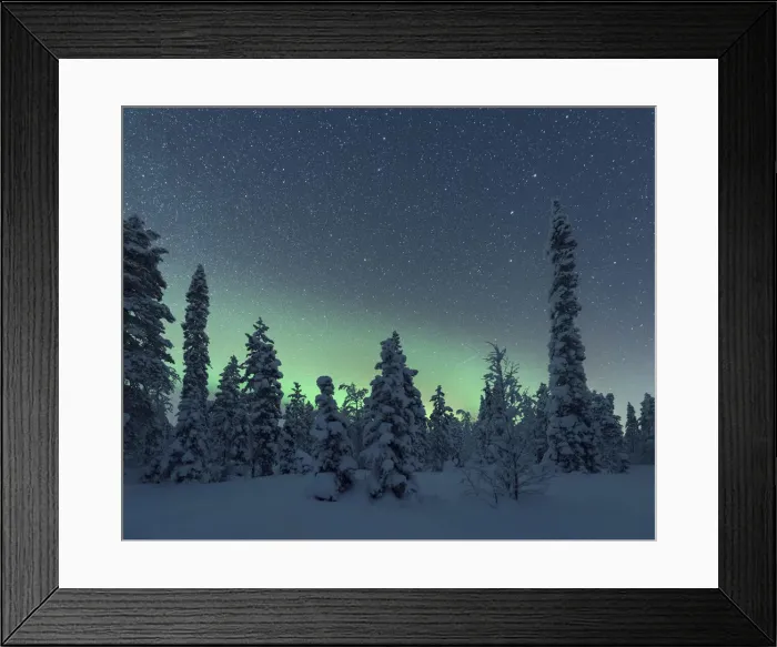 Framed Print : Northern lights over the frozen trees of Lapland in winter, Akaslompolo Framed Print : Northern lights over the frozen trees of Lapland in winter, Akaslompolo