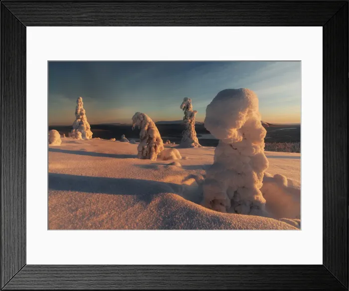 Framed Print : Frozen trees of Lapland at sunrise in winter, Akaslompolo, Yllastunturi National Park