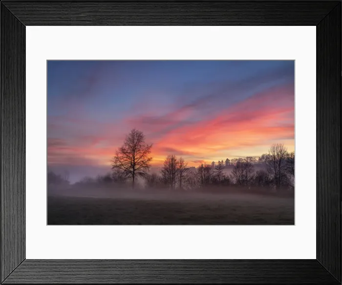Framed Print : A silhouette of a tree at sunset surrounded by mist, Curemonte, Correze Framed Print : A silhouette of a tree at sunset surrounded by mist, Curemonte, Correze