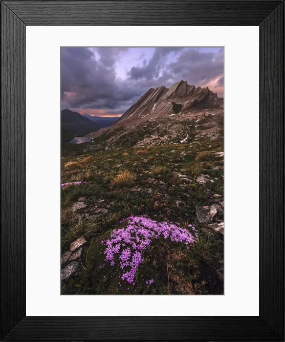 Framed Print : Taillante peak in the French Alps during a summer sunset, Sothern France Framed Print : Taillante peak in the French Alps during a summer sunset, Sothern France