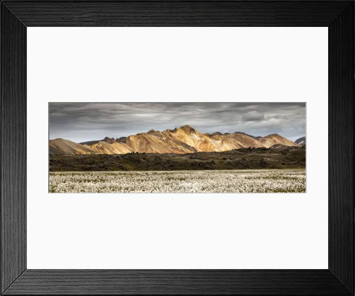Framed Print : Rhyolite mountains, In the foreground cottongrass field, Landmannalaugar, South Iceland Framed Print : Rhyolite mountains, In the foreground cottongrass field, Landmannalaugar, South Iceland
