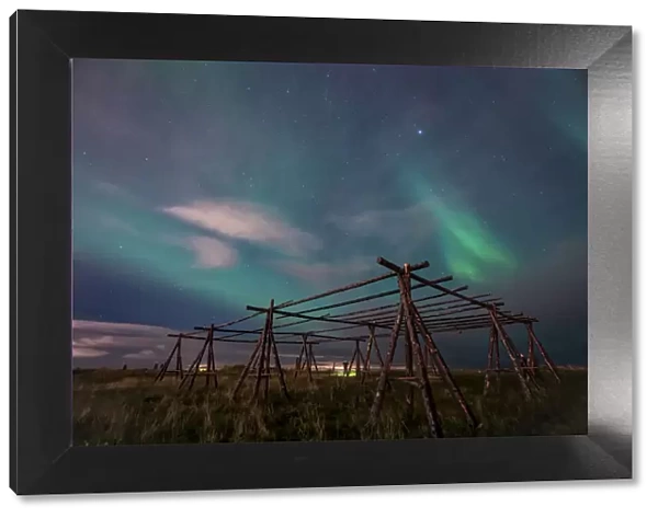 Low angle view Aurora borealis over wooden stands for fish drying at night, Reykjavik