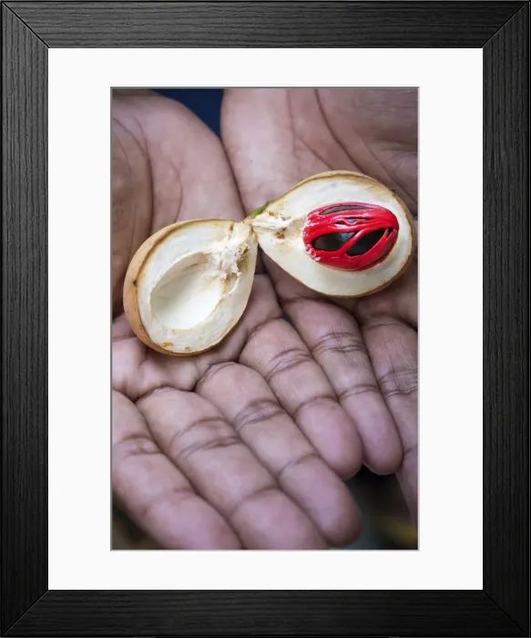 Framed Print : Asia, Indonesia, Spice Islands, Maluku, Banda, Banda Besar island Framed Print : Asia, Indonesia, Spice Islands, Maluku, Banda, Banda Besar island