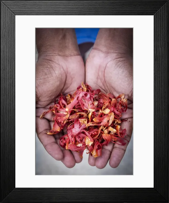 Framed Print : Asia, Indonesia, Spice Islands, Maluku, Banda, Banda Besar island Framed Print : Asia, Indonesia, Spice Islands, Maluku, Banda, Banda Besar island