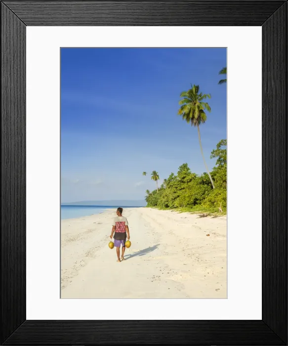 Framed Print : Asia, Indonesia, Spice Islands, Seram, Manawoka island, a local man carrying coconuts Framed Print : Asia, Indonesia, Spice Islands, Seram, Manawoka island, a local man carrying coconuts