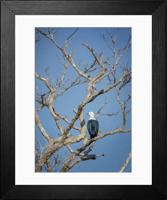 Framed Print : Asia, Indonesia, Spice Islands, West Papua, Raja Ampat islands Framed Print : Asia, Indonesia, Spice Islands, West Papua, Raja Ampat islands