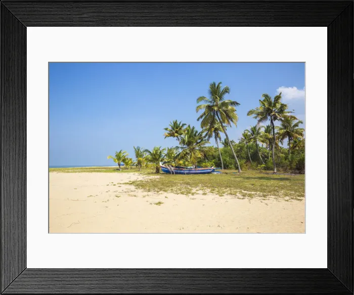 Framed Print : India, Kerala, Alleppey - Alappuzha, Fishing boats on Marari Beach Framed Print : India, Kerala, Alleppey - Alappuzha, Fishing boats on Marari Beach