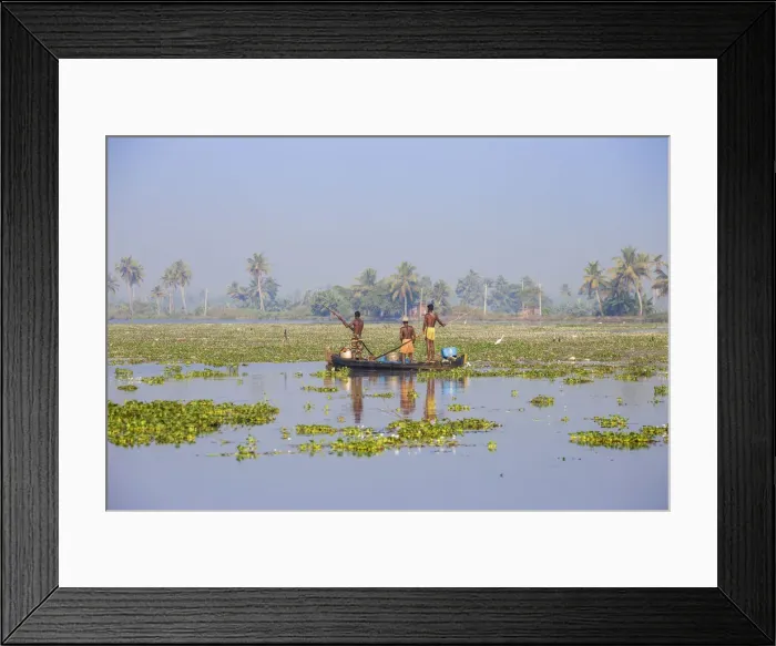 Framed Print : India, Kerala, Alappuzha (Alleppey), Alappuzha (Alleppey) backwaters Framed Print : India, Kerala, Alappuzha (Alleppey), Alappuzha (Alleppey) backwaters