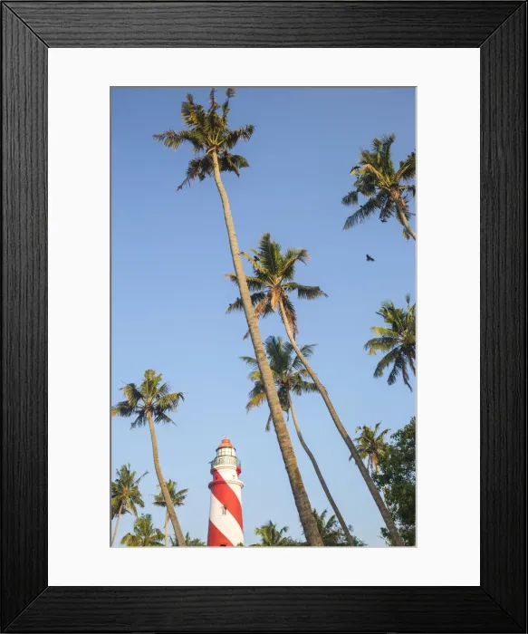 Framed Print : India, Kerala, Kollam, Tangasseri Lighthouse Framed Print : India, Kerala, Kollam, Tangasseri Lighthouse