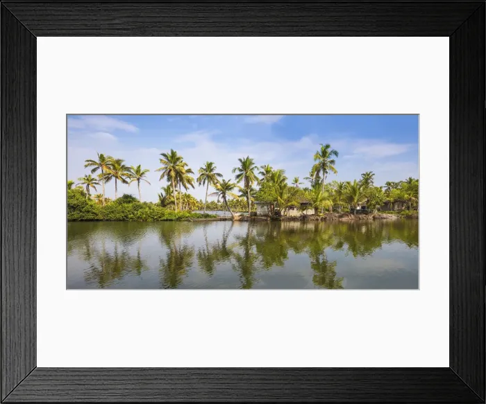 Framed Print : India, Kerala, Kollam, Munroe Island, Palm trees reflecting in backwaters