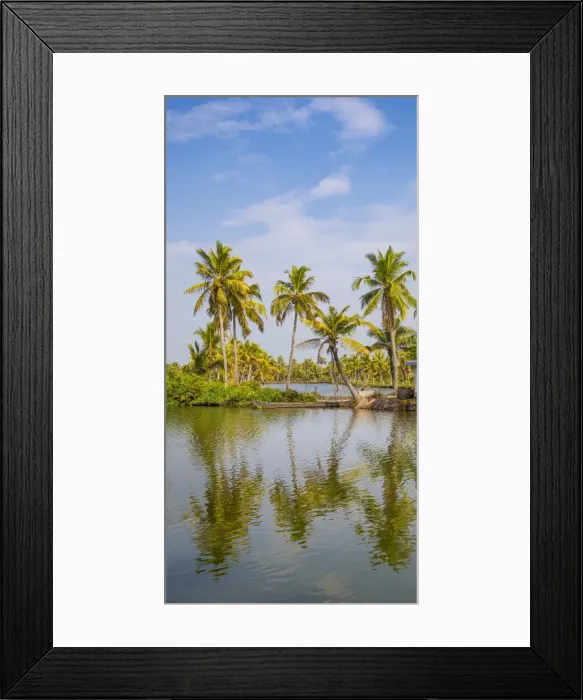 Framed Print : India, Kerala, Kollam, Munroe Island, Palm trees reflecting in backwaters Framed Print : India, Kerala, Kollam, Munroe Island, Palm trees reflecting in backwaters