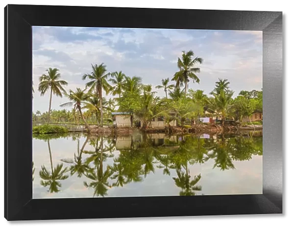 India, Kerala, Kollam, Munroe Island, Palm trees reflecting in backwaters
