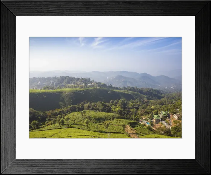 Framed Print : India, Kerala, Munnar, View over tea estates Framed Print : India, Kerala, Munnar, View over tea estates