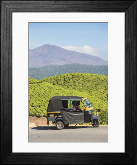 Framed Print : India, Kerala, Munnar, Tea estate Framed Print : India, Kerala, Munnar, Tea estate