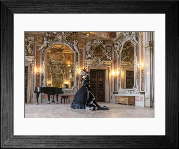 Framed Print : A woman poses in costume during the Venice Carnival inside an ornate palace Framed Print : A woman poses in costume during the Venice Carnival inside an ornate palace