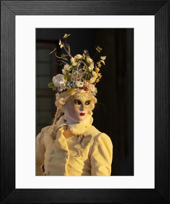Framed Print : A woman wearing a mask and a costume decorated with butterflies