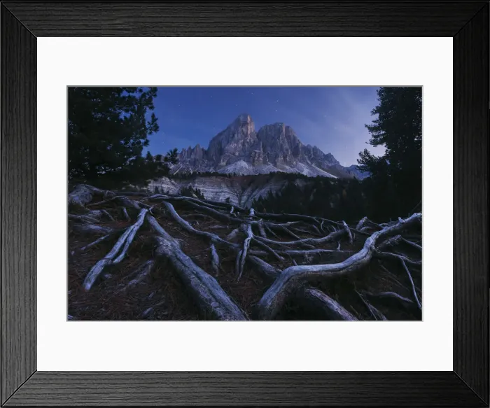 Framed Print : Roots below the Sass de Putia at dusk in the Dolomites, Italy Framed Print : Roots below the Sass de Putia at dusk in the Dolomites, Italy