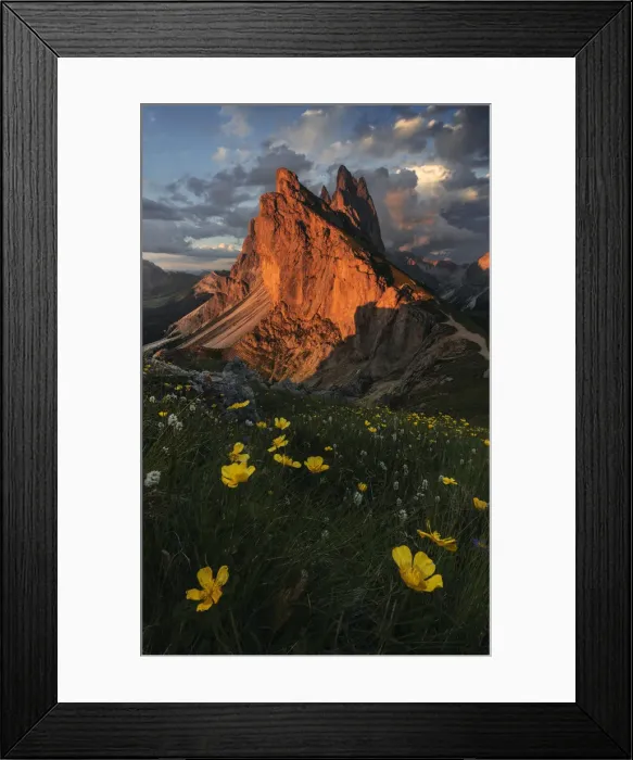 Framed Print : Seceda mountain range during a summer sunset in Val Gardena, Dolomites, Italy Framed Print : Seceda mountain range during a summer sunset in Val Gardena, Dolomites, Italy