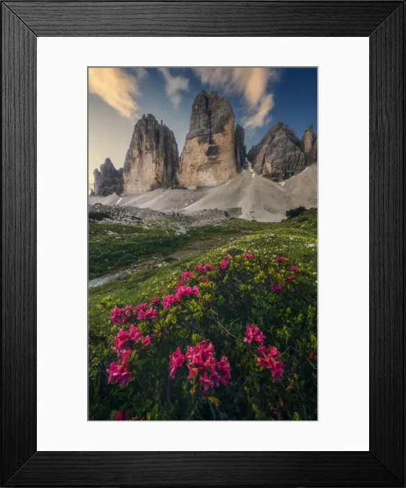 Framed Print : Tre Cime di Lavaredo in summer at sunrise, Dolomites, Italy Framed Print : Tre Cime di Lavaredo in summer at sunrise, Dolomites, Italy