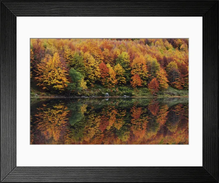 Framed Print : Fall reflection at the Lago Baccio, Central Appennines, Emilia Romagna, Italy Framed Print : Fall reflection at the Lago Baccio, Central Appennines, Emilia Romagna, Italy