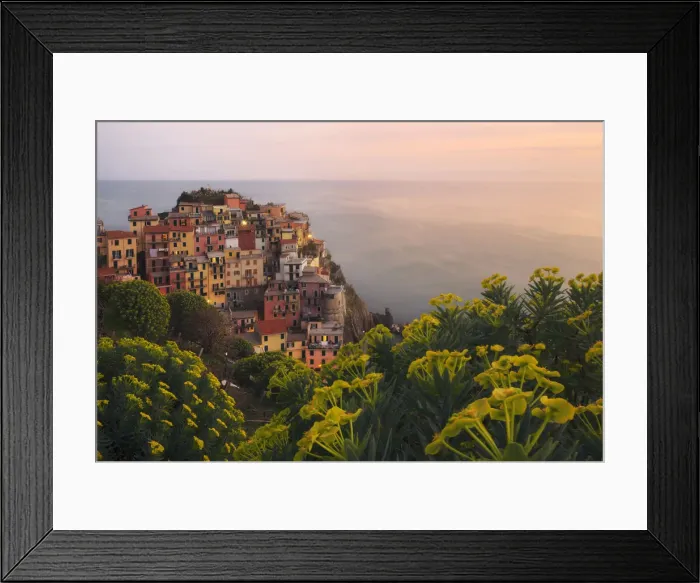 Framed Print : Coastal town of Manarola in spring at sunset, Cinque Terre, Liguria, Italy Framed Print : Coastal town of Manarola in spring at sunset, Cinque Terre, Liguria, Italy