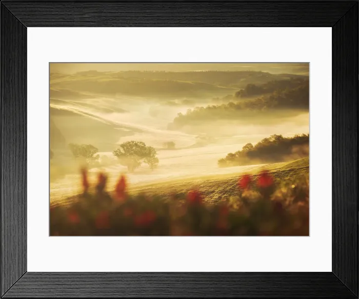 Framed Print : Sunrise light hitting the Siena countryside in spring, Tuscany, Italy Framed Print : Sunrise light hitting the Siena countryside in spring, Tuscany, Italy