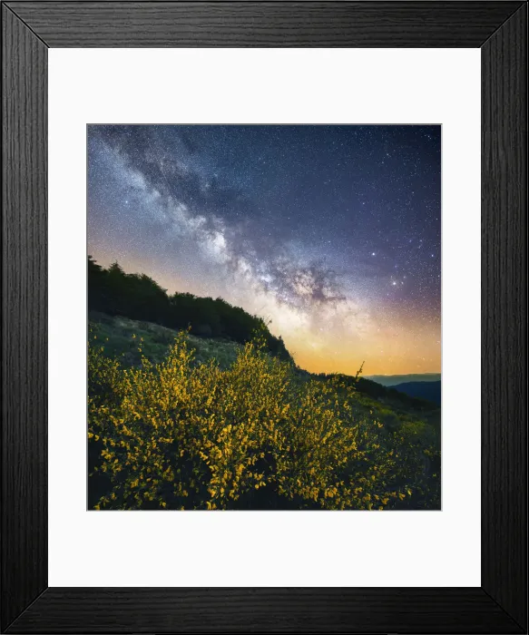 Framed Print : Milky way over flowering brooms in the central Appennines, Tuscany, Italy Framed Print : Milky way over flowering brooms in the central Appennines, Tuscany, Italy