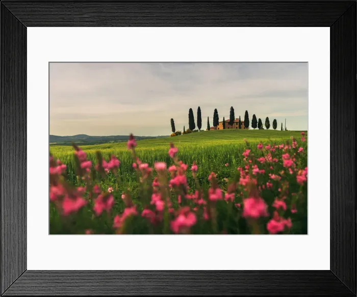 Framed Print : Countryhouse near Pienza during a cloudy sunset in spring, Val d Orcia, Tuscany Framed Print : Countryhouse near Pienza during a cloudy sunset in spring, Val d Orcia, Tuscany