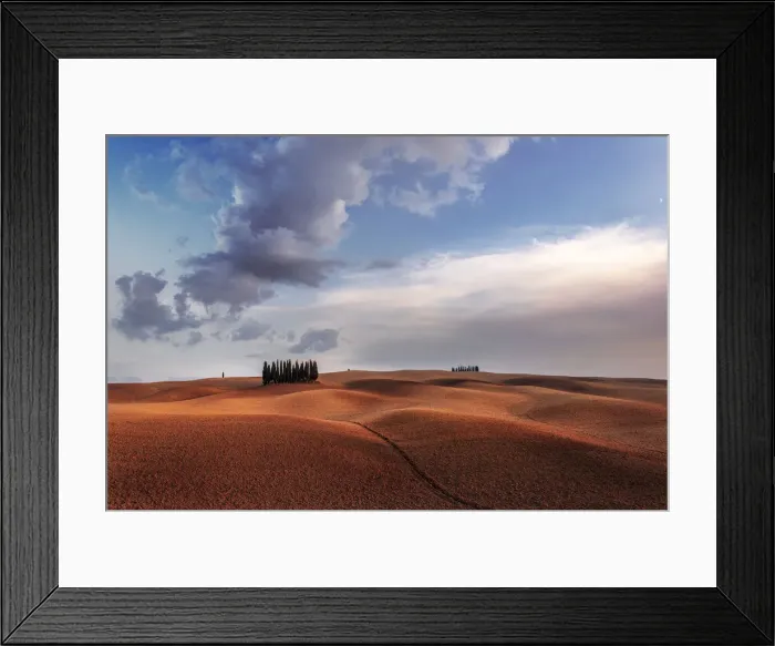Framed Print : Cypresses and rolling hills at sunset near Montalcino, Val d Orcia, Tuscany, Italy Framed Print : Cypresses and rolling hills at sunset near Montalcino, Val d Orcia, Tuscany, Italy