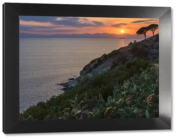 europe, Italy, Tuscany, Elba Island, sunset at Pomonte with the island of Corsica in the