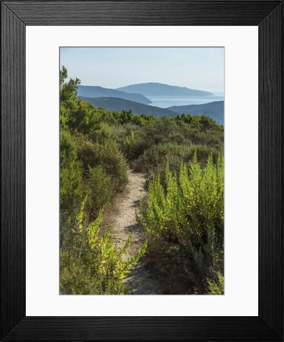 Framed Print : europe, Italy, Tuscany, Elba Island, view from the hiking path towards the sea Framed Print : europe, Italy, Tuscany, Elba Island, view from the hiking path towards the sea