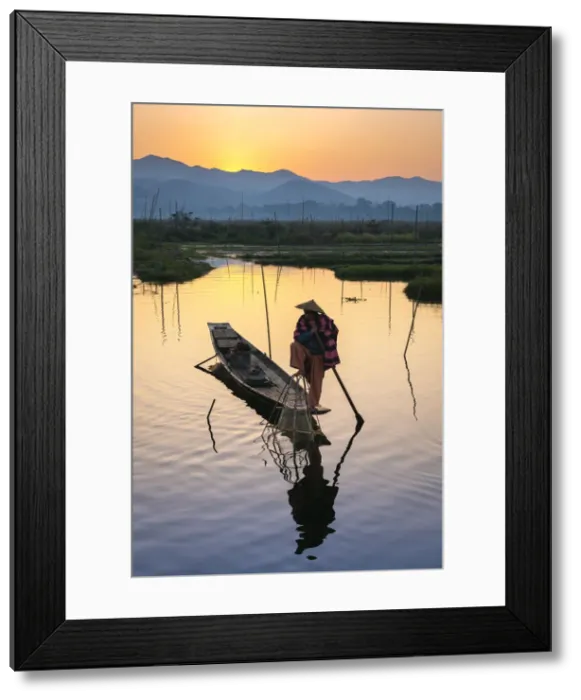 Framed Print : Fisherman fishing using typical conical net at sunrise, Floating Gardens, Lake Inle Framed Print : Fisherman fishing using typical conical net at sunrise, Floating Gardens, Lake Inle