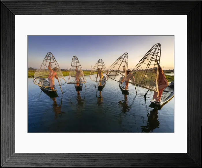 Framed Print : Five traditional fishermen fishing together using conical nets, Lake Inle Framed Print : Five traditional fishermen fishing together using conical nets, Lake Inle