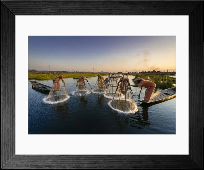 Framed Print : Five traditional fishermen fishing together using conical nets, Lake Inle