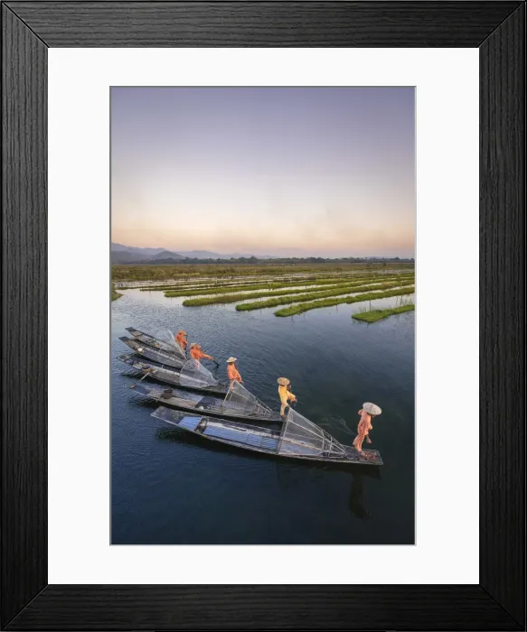Framed Print : Elevated view of five leg-rowing fishermen rowing on Lake Inle before sunset, Lake Inle Framed Print : Elevated view of five leg-rowing fishermen rowing on Lake Inle before sunset, Lake Inle
