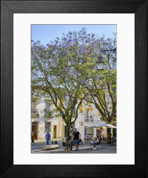 Framed Print : Tranquil little square in the old town of Evora with jacaranda trees Framed Print : Tranquil little square in the old town of Evora with jacaranda trees