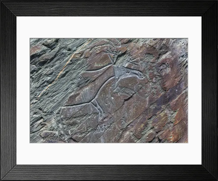 Framed Print : Petrogliph, Tomskaya pisanitsa open air museum, Tom River, Kemerovo region, Russia Framed Print : Petrogliph, Tomskaya pisanitsa open air museum, Tom River, Kemerovo region, Russia