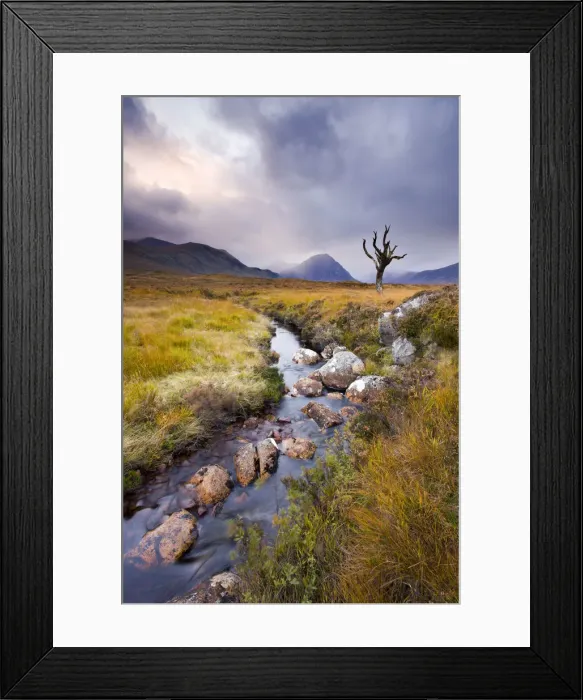 Framed Print : Stream running through Rannoch Moor wilderness, Highland, Scotland Framed Print : Stream running through Rannoch Moor wilderness, Highland, Scotland