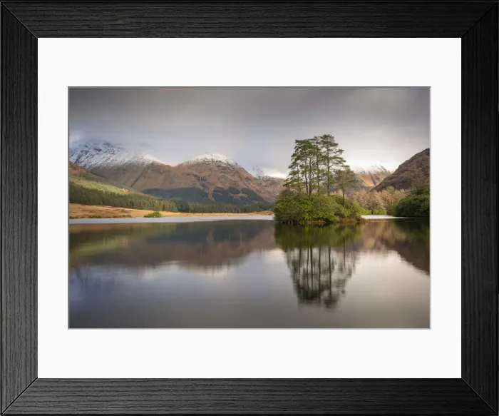 Framed Print : Pine tree island in a Scottish Loch, Highland, Scotland