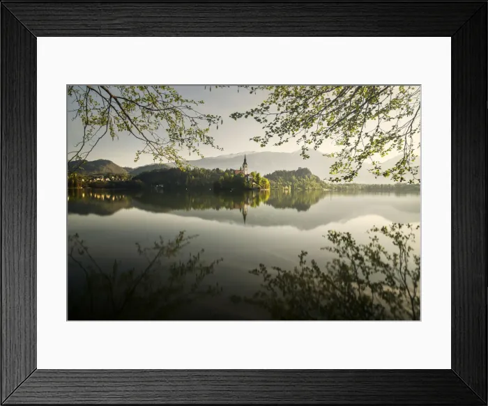 Framed Print : Lake Bled during a sunny spring sunrise, Slovenia
