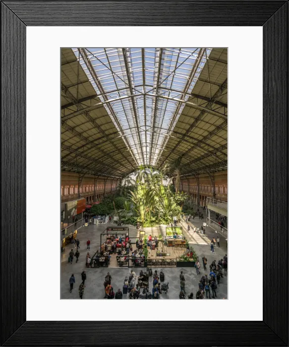 Framed Print : Tourists and tropical garden at Atocha Railway Station (Estacion de Atocha), Madrid