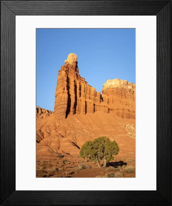 Framed Print : Low angle view of Chimney Rock and solitary tree, Capitol Reef National Park, Utah Framed Print : Low angle view of Chimney Rock and solitary tree, Capitol Reef National Park, Utah