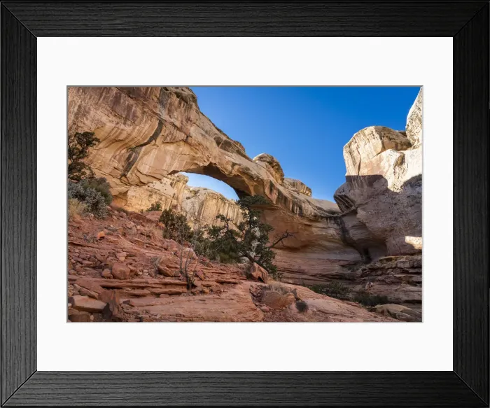 Framed Print : Low angle view of Hickman Natural Bridge, Capitol Reef National Park, Utah Framed Print : Low angle view of Hickman Natural Bridge, Capitol Reef National Park, Utah
