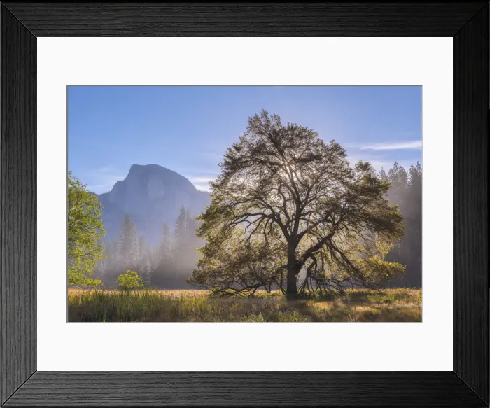 Framed Print : Half Dome from Cooks Meadow in Yosemite National Park, California, USA. Autumn Framed Print : Half Dome from Cooks Meadow in Yosemite National Park, California, USA. Autumn