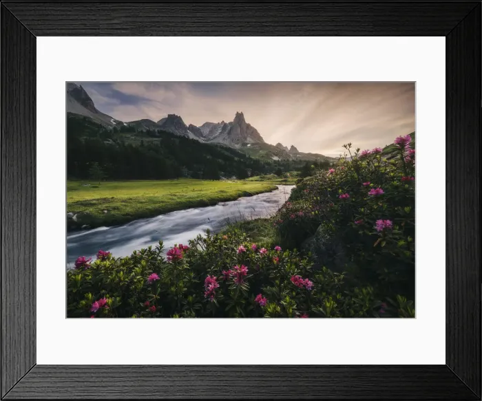 Framed Print : Alpine meadows during a summer sunset, Val Claree, Southern France Framed Print : Alpine meadows during a summer sunset, Val Claree, Southern France
