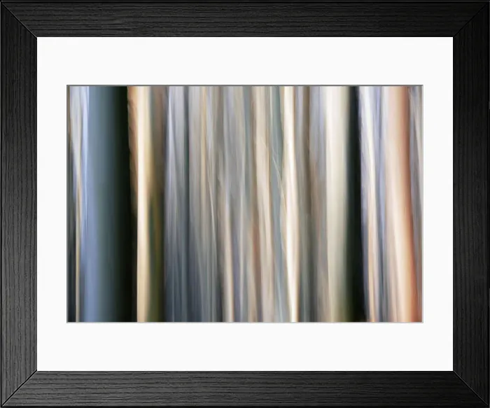 Framed Print : Abstract photo of a forest, Bayerischer Wald Park, Germany