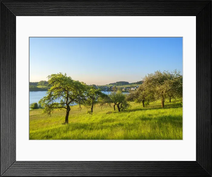 Framed Print : Schalkenmehrener Maar in the morning light, Eifel, Rhineland-Palatinate, Germany Framed Print : Schalkenmehrener Maar in the morning light, Eifel, Rhineland-Palatinate, Germany