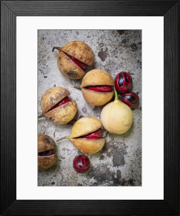 Framed Print : Asia, Indonesia, Spice Islands, Maluku, Banda, Banda Besar island