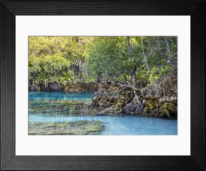 Framed Print : Asia, Indonesia, Spice Islands, Seram, Pulau Manawoka island