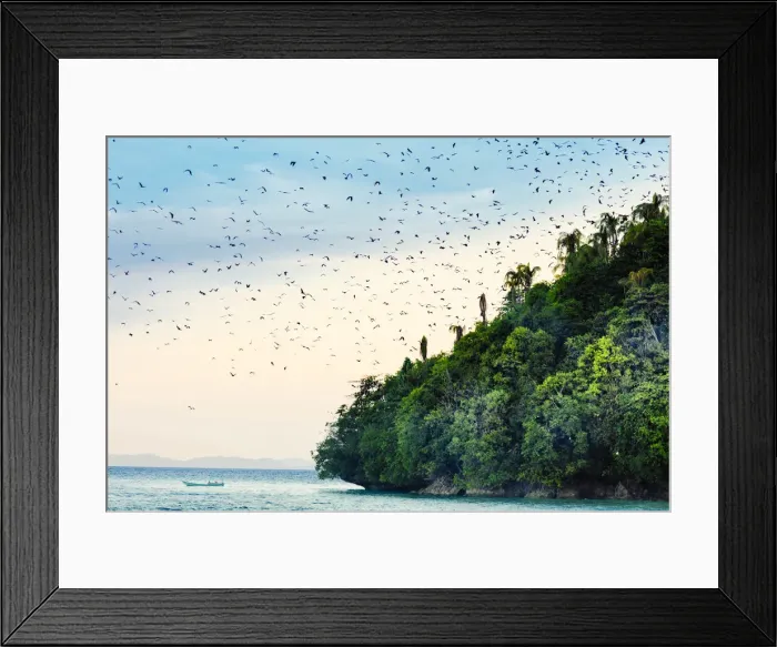 Framed Print : Asia, Indonesia, Spice Islands, West Papua, Raja Ampat islands, Pulau Mioskon Framed Print : Asia, Indonesia, Spice Islands, West Papua, Raja Ampat islands, Pulau Mioskon